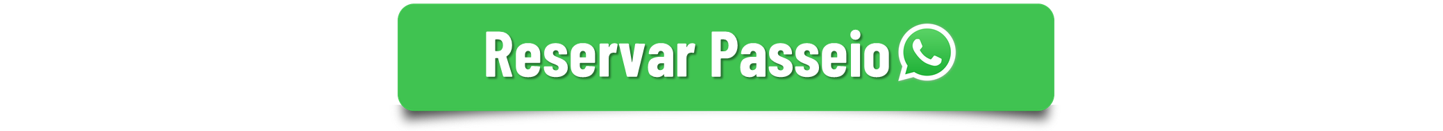 ND Tour - Porto de Galinhas - Passeios Porto de Galinhas-..-..png