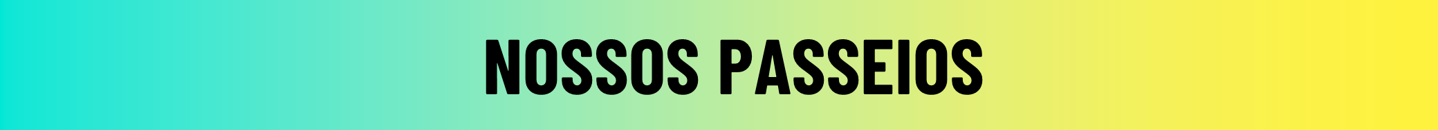 ND Tour - Porto de Galinhas - Passeios Porto de Galinhas--....png