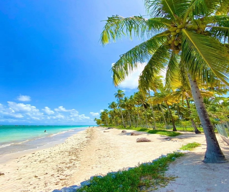 ND Tour - Porto de Galinhas - Passeios Porto de Galinhas ... (5).JPG